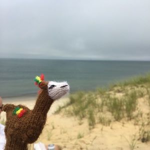 Meet your Posher, Bryn